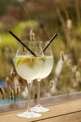 hugo prosecco elderflower soda ice summer drink