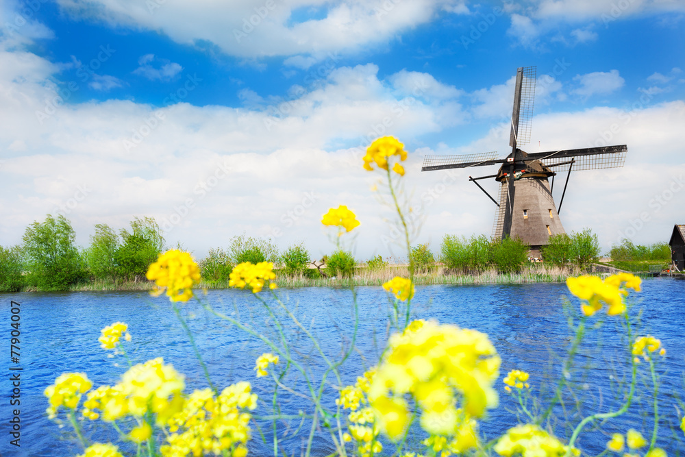 Wall mural old windmill in kinderdijk-elshout netherlands