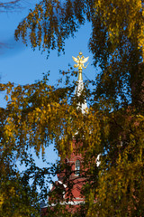 Red Tower of the Moscow Kremlin under the tree