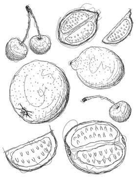 Mixed fruit sketch