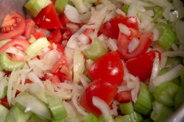 Tomatoes celery onion stew