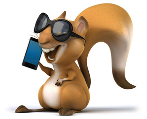 Fun squirrel © Julien Tromeur