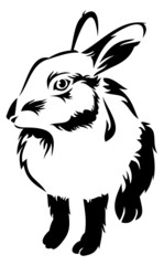 Rabbit outline