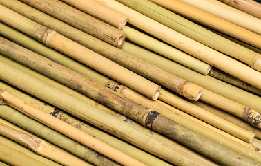 bamboo wood