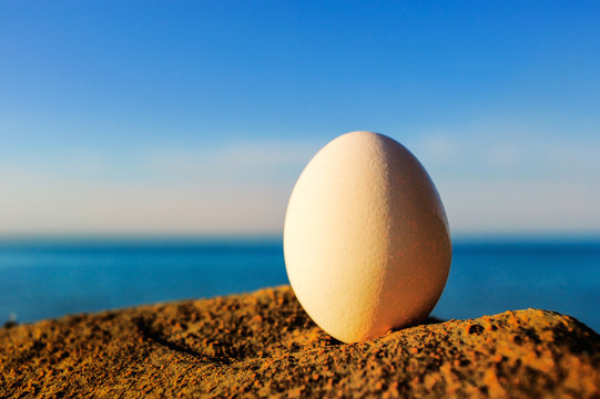 Egg and stone