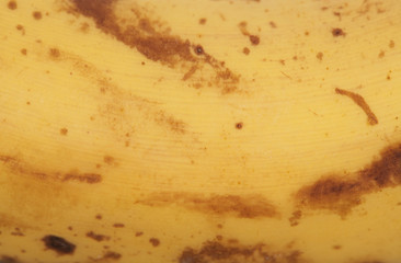 ripe banana abstract