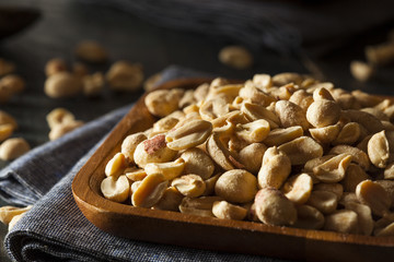 Organic Roasted Salty Peanuts