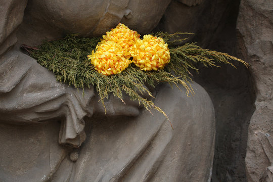Yellow chrysanthemum at the cemetery in Jaromer, Czech Republic.
