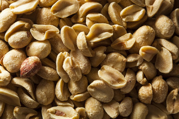 Organic Roasted Salty Peanuts