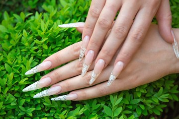 Fototapeta premium nail extension