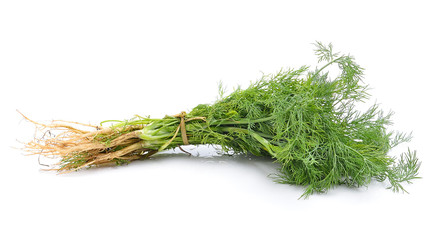 Coriander bunch on white background