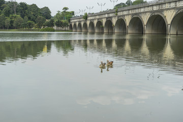 Fototapeta premium Lake with concrete bridge