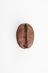 One roasted coffee bean at the center