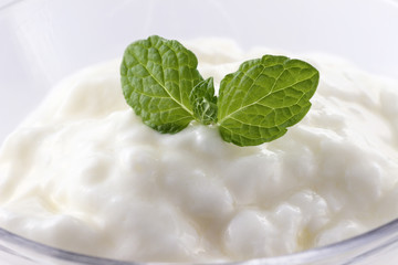 yogurt