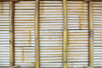 Bamboo fence background