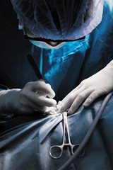 veterinarian surgeons,selective color technique