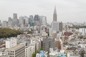 Obraz premium Wieżowiec Tokio Shinjuku pochmurno Tokio shinjyuku