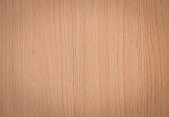 Texture of wood pattern background