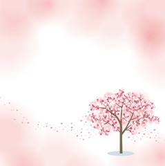 桜　背景