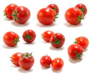 collection of tomatoes with a light shadows isolated on white