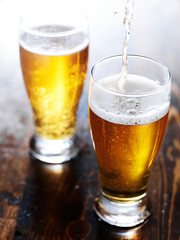 two mugs of amber beer with foam head