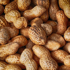 peanuts in shell