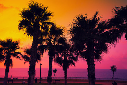 Tropical beach with palm trees at sunset background. Embankment,