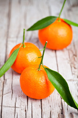 fresh tangerines with leaves