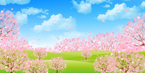 桜　空　背景