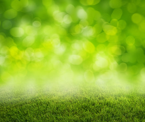 grass background