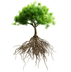 Naklejka premium tree with roots