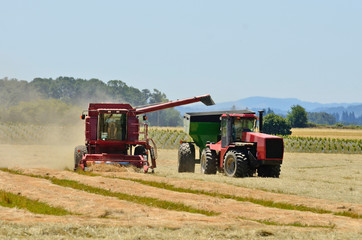 Obraz premium A combine working a field of oats in Oregon