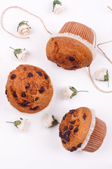 chocolate chip muffin