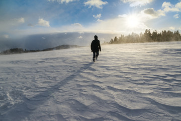 walk into the wintersun