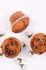 chocolate chip muffin