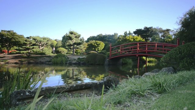 Japanese Gardens in Toowoomba with waterfalls, animals and ponds