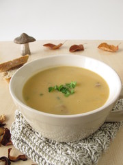 Waldpilzsuppe