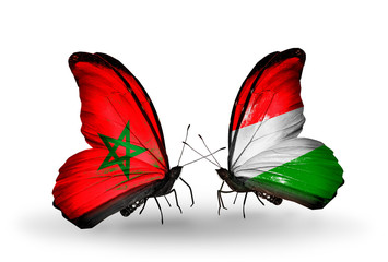 Two butterflies with flags Morocco and Hungary