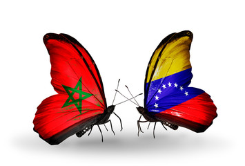 Two butterflies with flags Morocco and Venezuela
