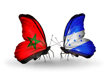 Two butterflies with flags Morocco and Honduras