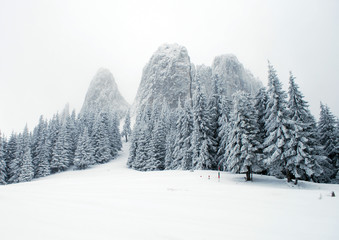 Winter Mountain Tour. Vintage photo