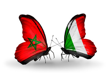 Two butterflies with flags Morocco and Italy