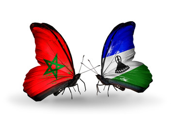 Two butterflies with flags Morocco and Lesotho