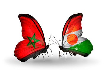 Two butterflies with flags Morocco and Niger