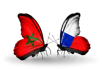 Two butterflies with flags Morocco and Czech