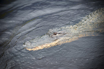 Florida moments