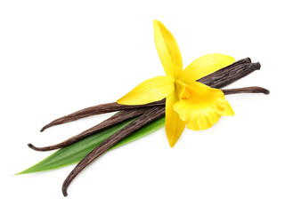 Vanilla pods and orchid flower