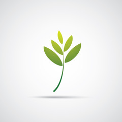 Leaves - Eco Icon or Logo Design