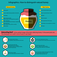 Infographics. How to distinguish natural honey from a fake