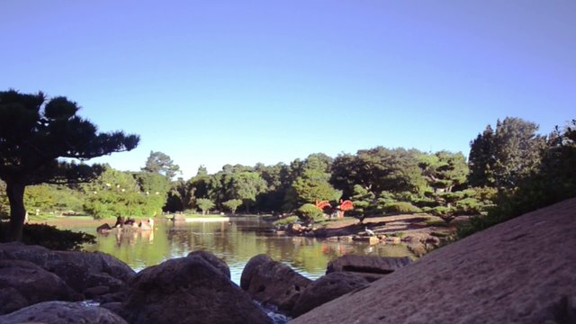 The Japanese Gardens in Toowoomba, QLD. 